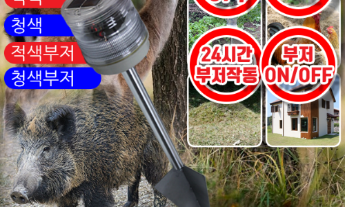 제일전장 이미지