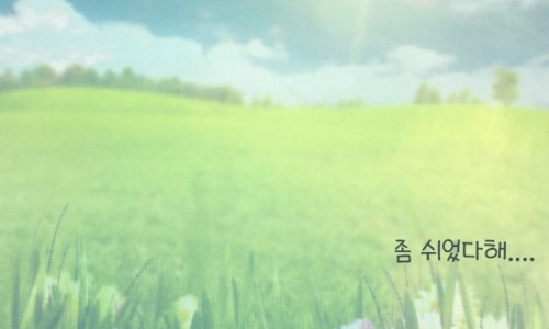 토다기 이미지