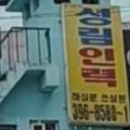 성림직업소개소 이미지