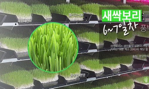 사회적협동조합보리 이미지
