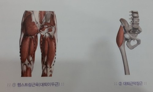 박지영 수정테라피 이미지
