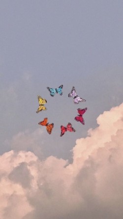 라인스튜디오 이미지