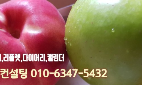 진양컨설팅 이미지