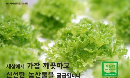 샐리마켓 이미지