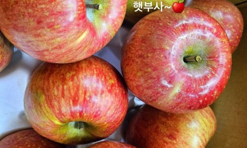 싱싱청과야채 이미지
