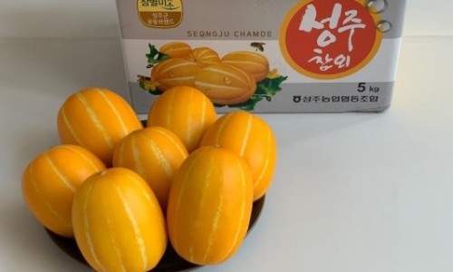 영순이네 이미지