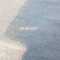 세미네일(seminail) 이미지