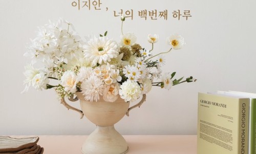 스튜디오일리 이미지