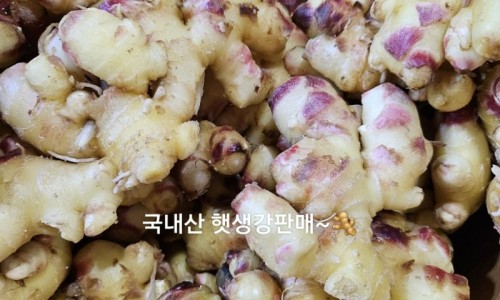 대성청과 이미지