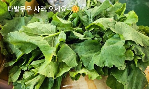 대성청과 이미지