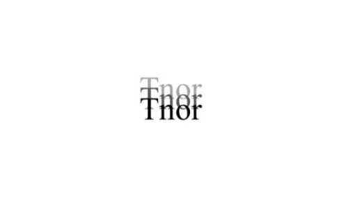 트노어 이미지