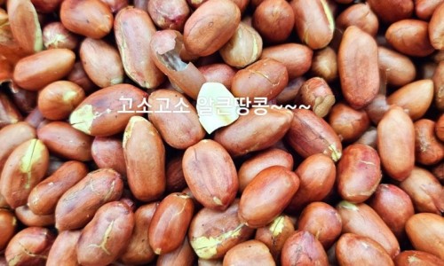 대성청과 이미지