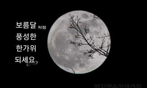 박지영 수정테라피 이미지