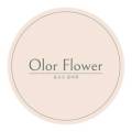 올로르플라워OlorFlower 이미지