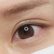 비올라(violla) 이미지