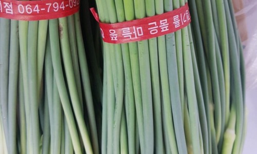 신선청과야채 이미지