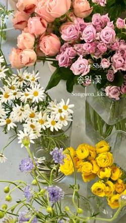 송원플라워 이미지