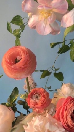 아뜰리에비쥬 이미지
