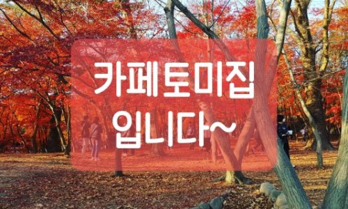 카페,토미 이미지