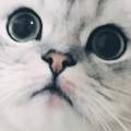 미유네일 이미지