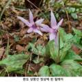 진산환경개발 이미지