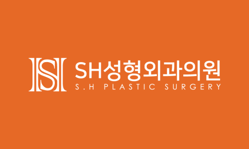 에스에이치정보 이미지