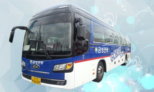 금성관광(주) 이미지
