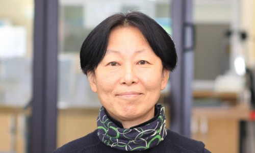 태양광발전사회적협동조합 이미지
