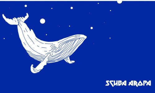 제주스쿠바아로파 이미지