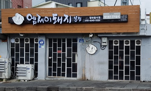 엠제이돼지 이미지