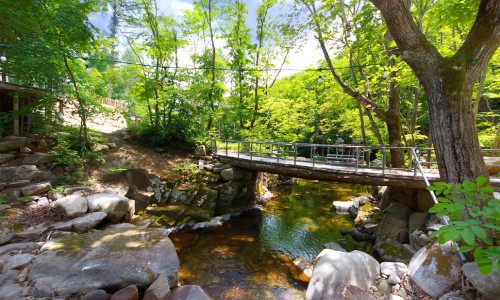 산골펜션캠핑장 이미지