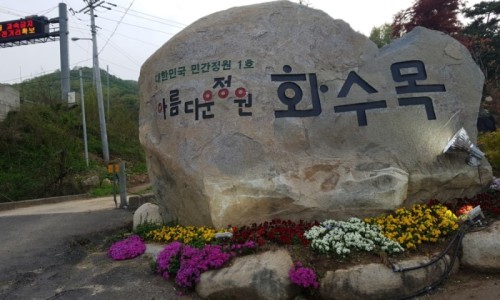 카페화수목 이미지