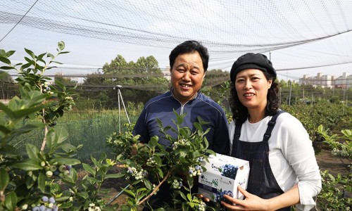 상록수농원 이미지