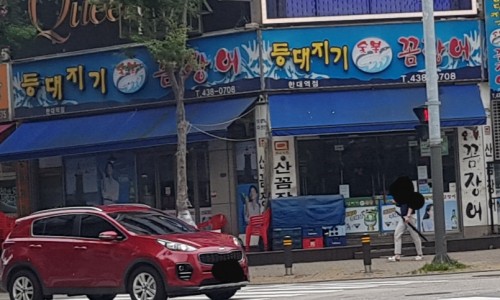 등대지기꼼장어 이미지