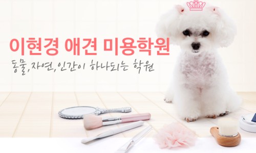 이현경애견미용학원 이미지