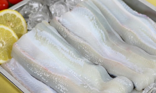 바다장어구이 이미지