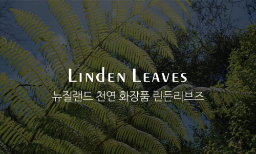 헬씨메이드 이미지