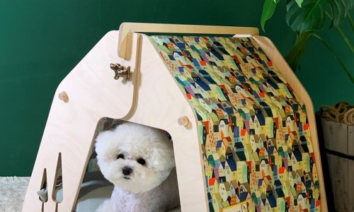 정바늘 이미지