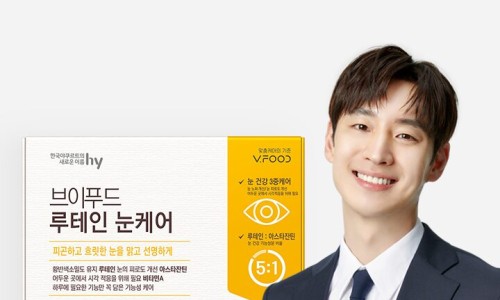 브이푸드 이미지