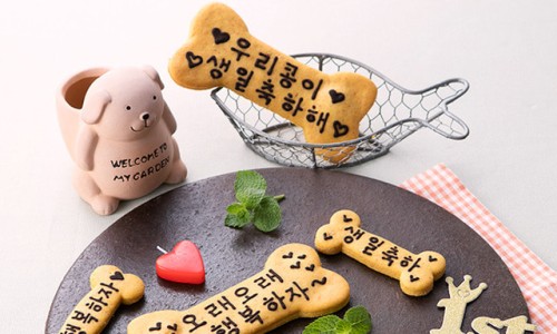 아이스팡팡 이미지
