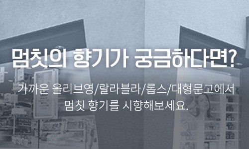 데일리헤어 이미지
