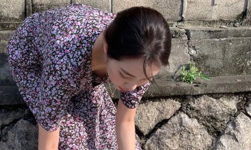 피그맘 이미지