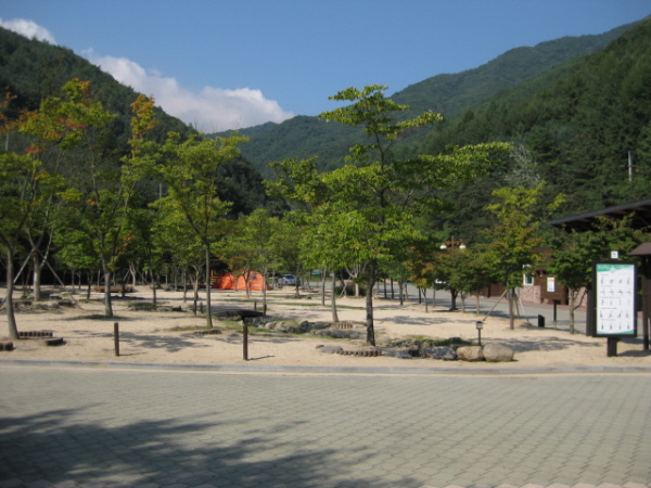 소백산오토캠핑장 이미지