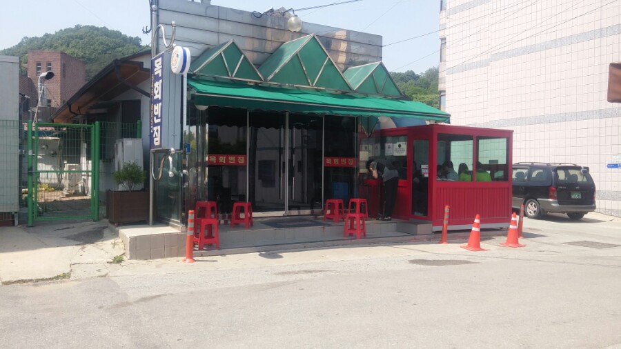 목화반점 이미지