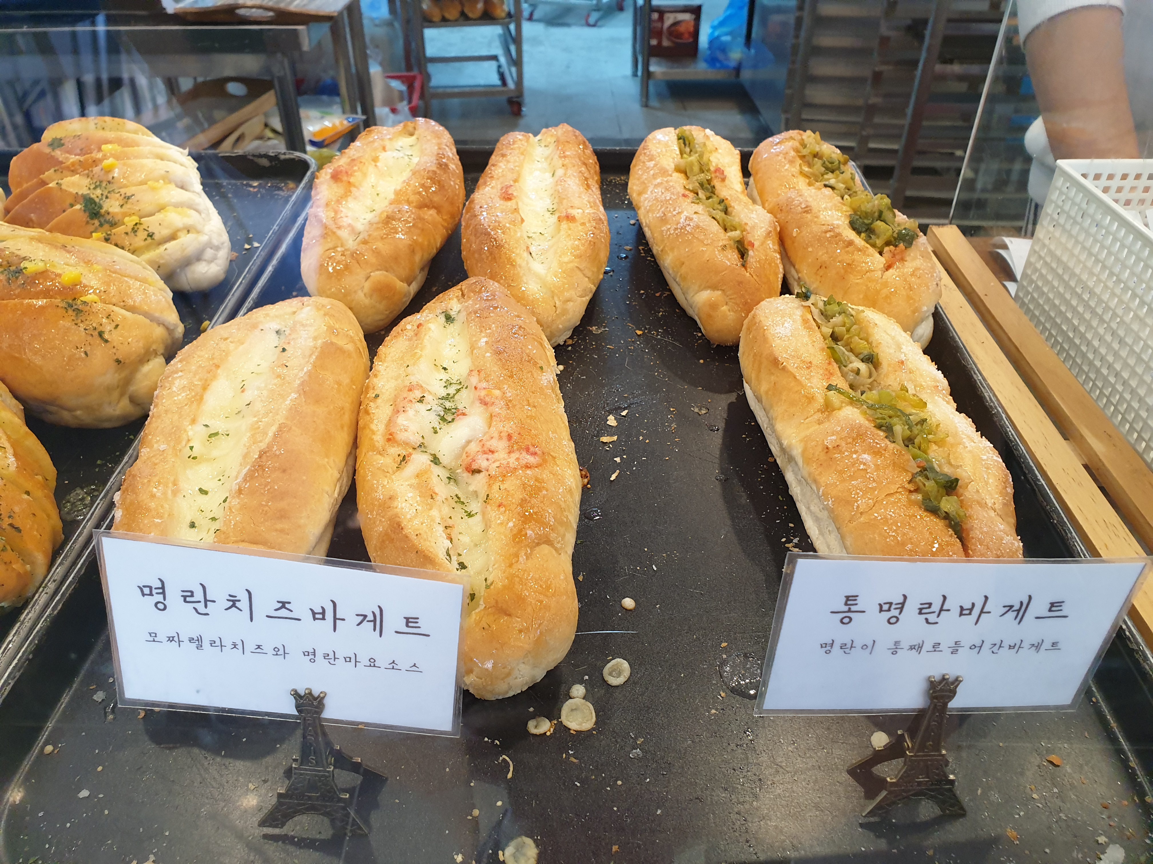 오베르망 이미지