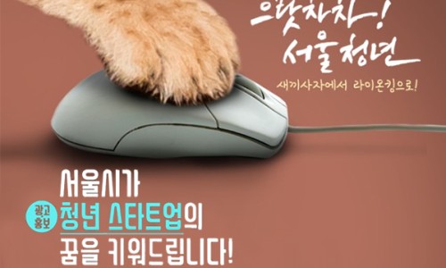 청년디자인광고 이미지