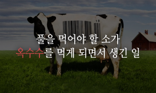 형제축산 이미지