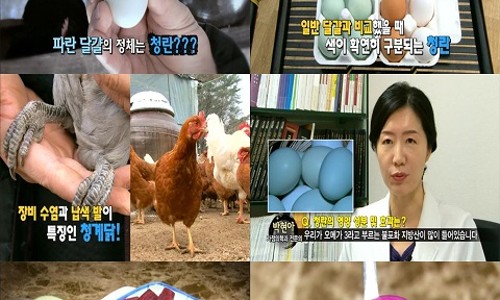 청계영농조합법인 이미지