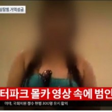 보니파크 이미지