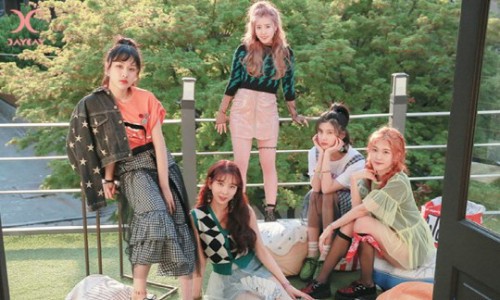 데이데이21 이미지